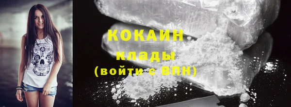 прущие грибы Богородицк