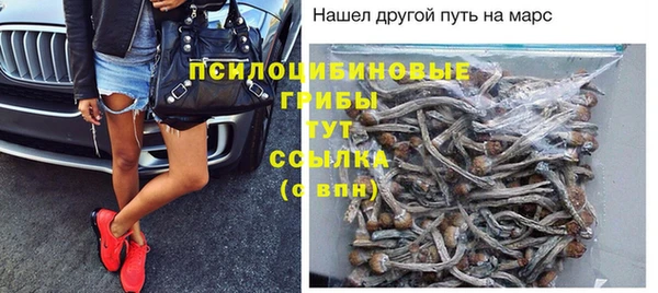 каннабис Беломорск