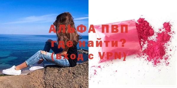 прущие грибы Богородицк